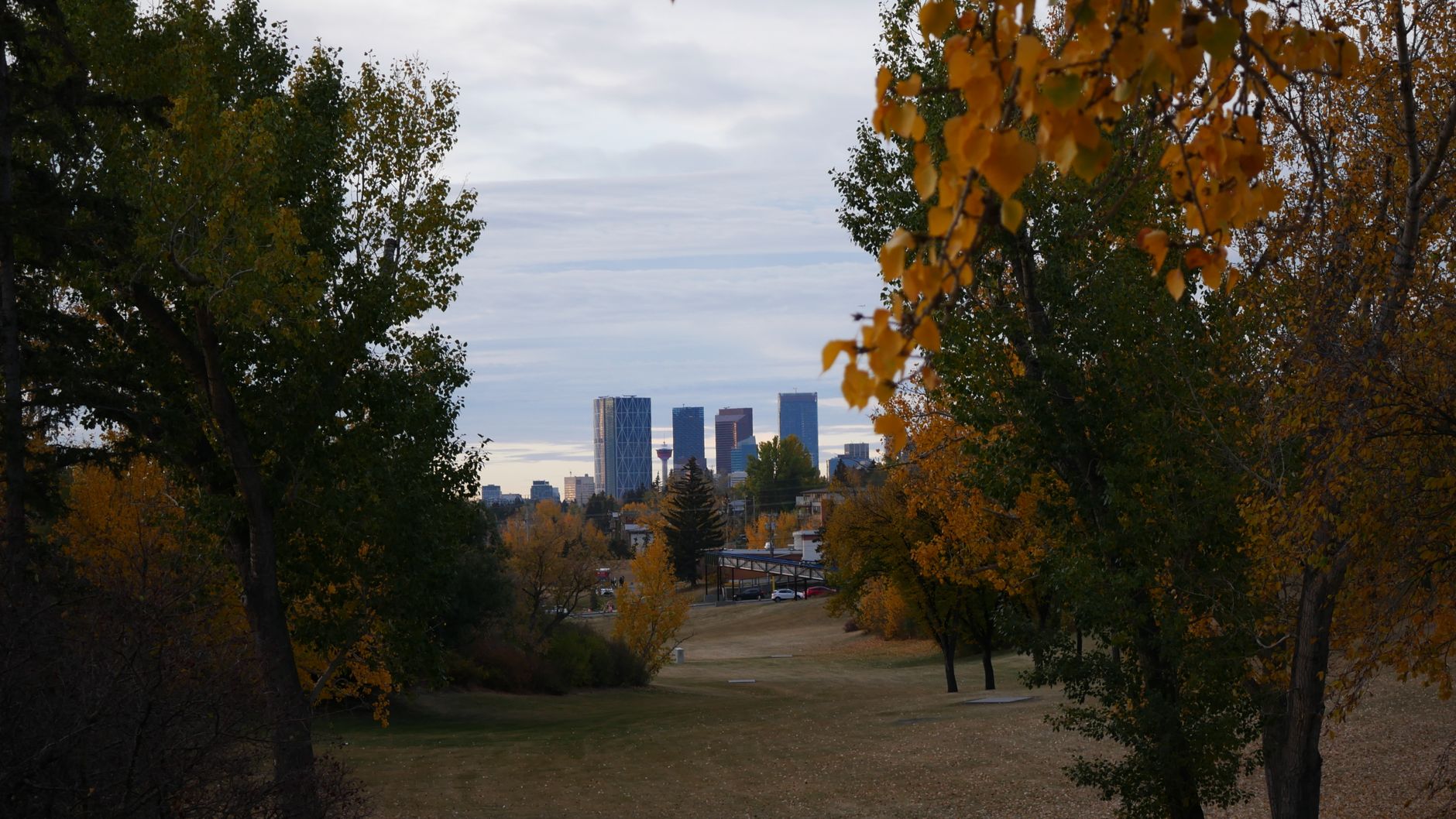 Calgary skyline surrounded by autumn trees