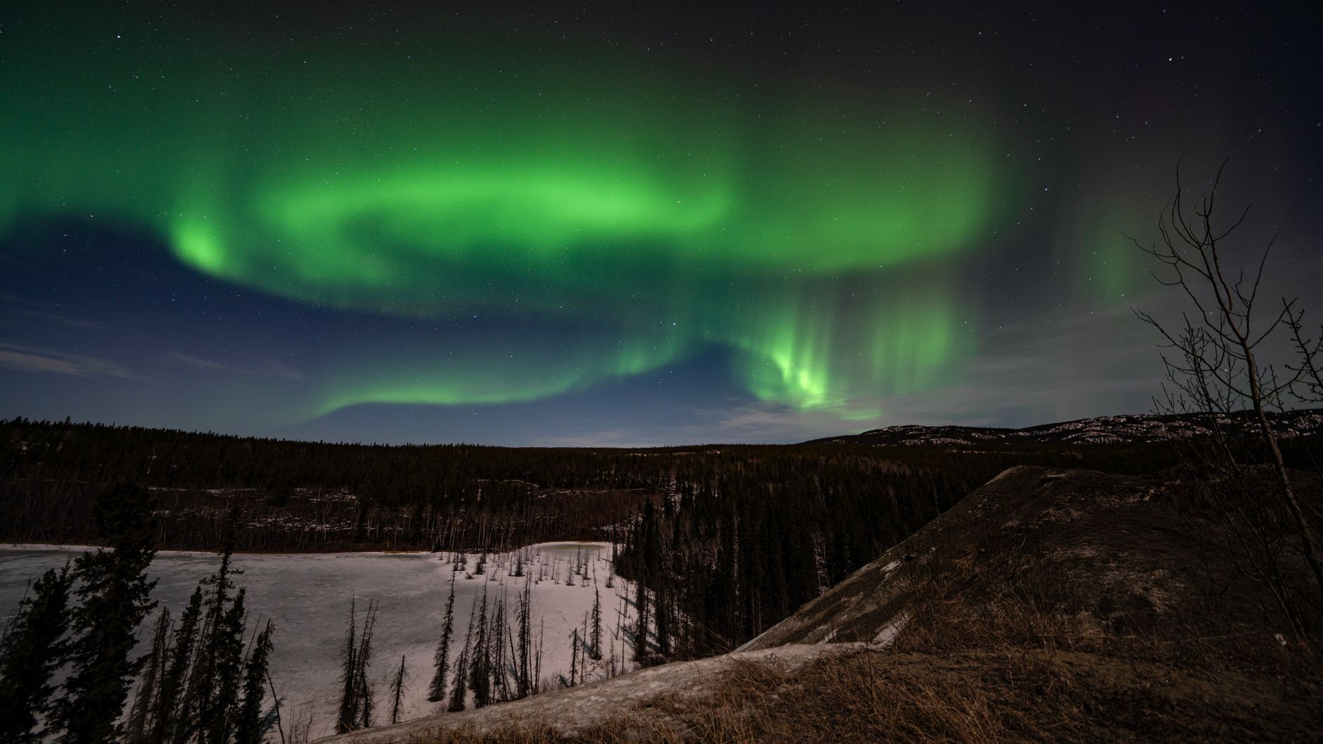 Green aurora borealis above Whitehorse at night